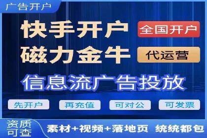 抖音信息流代理在电商行业的应用案例分析